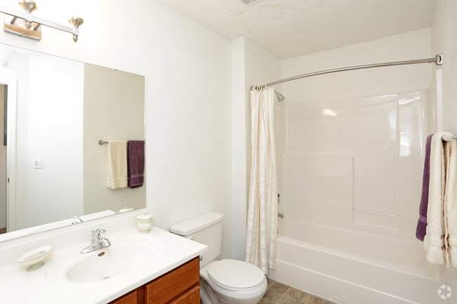 Bathroom - Pine Tree Apartments