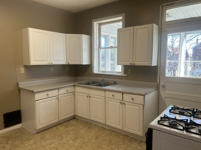 Building Photo - 4254 Michigan Ave Unit 2FL