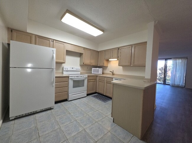 Kitchen - 3115 Patrick Henry Dr Unit Chateaux #520