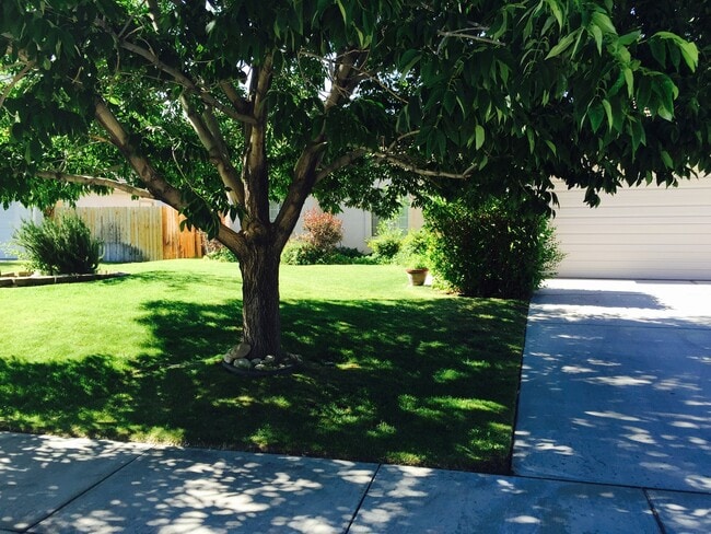 Photo - 2312 Shoshone Dr