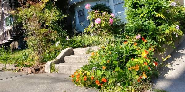 Photo - 2531 Benvenue Ave