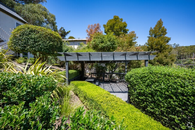 BBQ Area - Park Hill