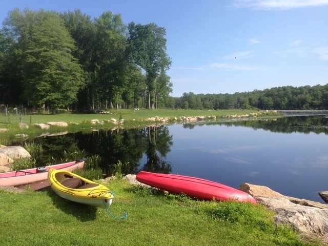 Photo - 336 Woodville Rd