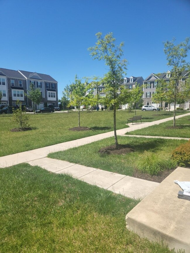 Photo - 10212 Windsor Oaks Way