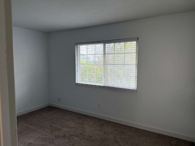 Photo - Remodeled Santa Cruz Apartment