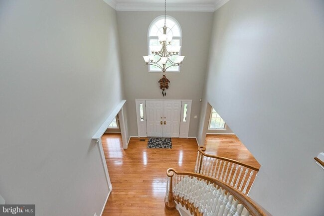 Photo - 2859 Cherry Branch Ln