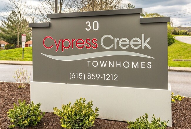 Photo - Cypress Creek