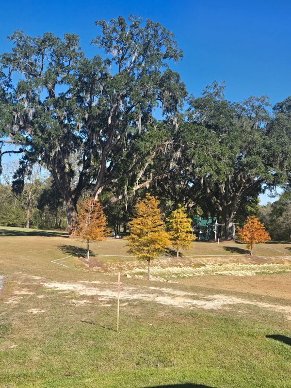 Photo - 5684 Native Oak Dr