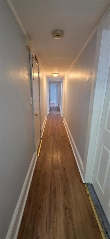 Photo - 15A Linden St Unit 2