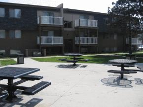 Picnic and bbq area