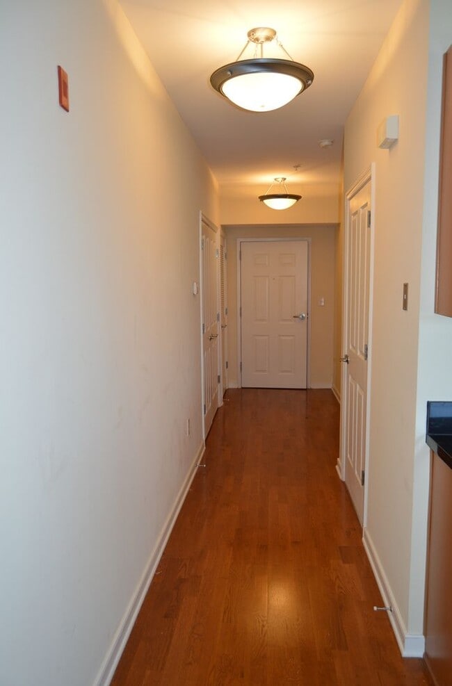 Photo - 388 Boush St