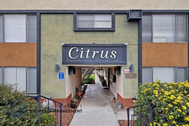 Photo - Citrus Apartments