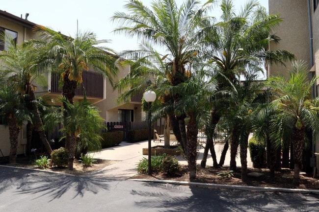 Photo - La Palma Terrace