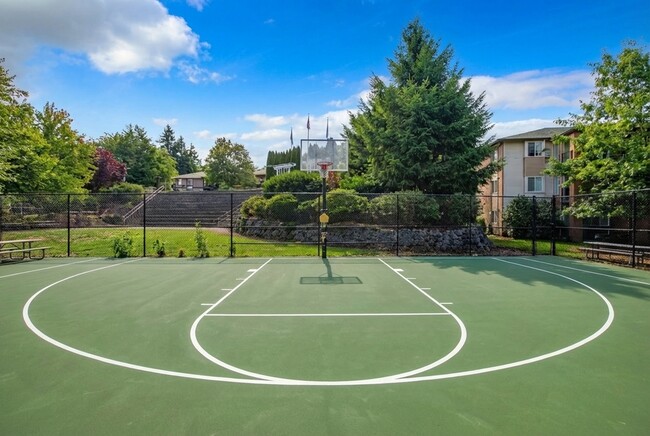 Scott Mountain Apartments Basketball Court - Scott Mountain