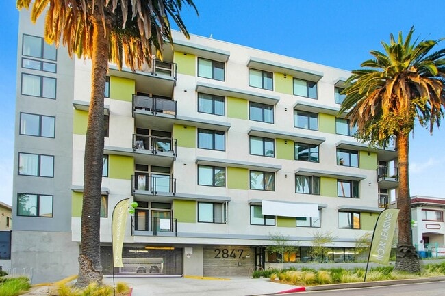 Zephyr Koreatown