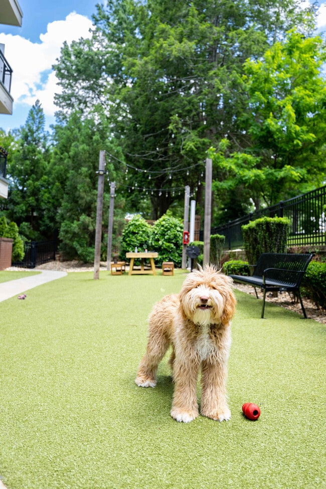 Ellison On Broad apartments — community photo