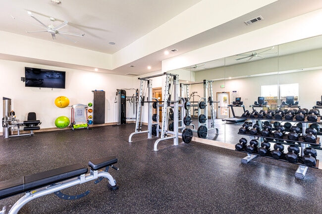 Photo - The Parker Austin