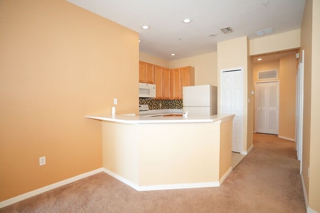 Photo - Partridge on University