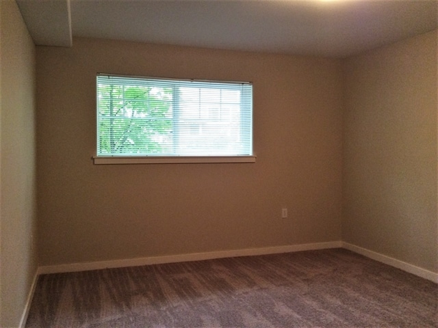 Photo - 7353 Rainier Dr