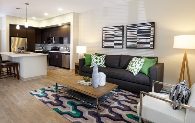 One Bedroom Apartment Living Room and Kitchen