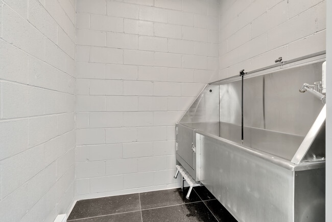 Pet wash - Colonial Court