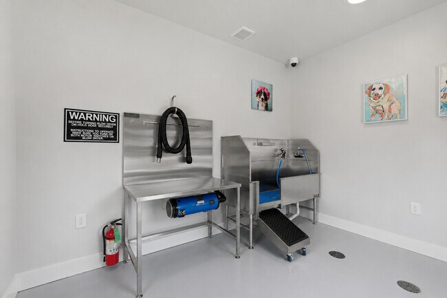 Pet Spa