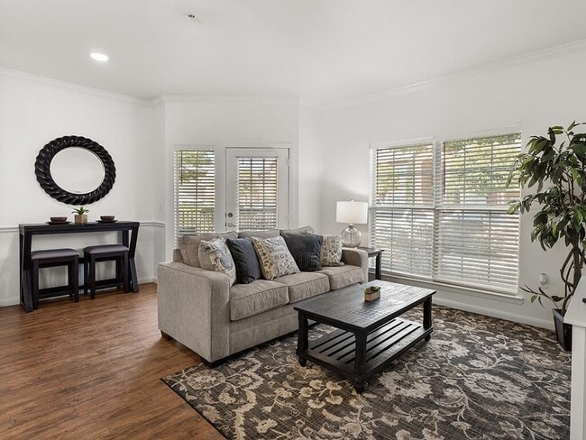 La luz natural inunda el espacio - Avalon at Carlsbad