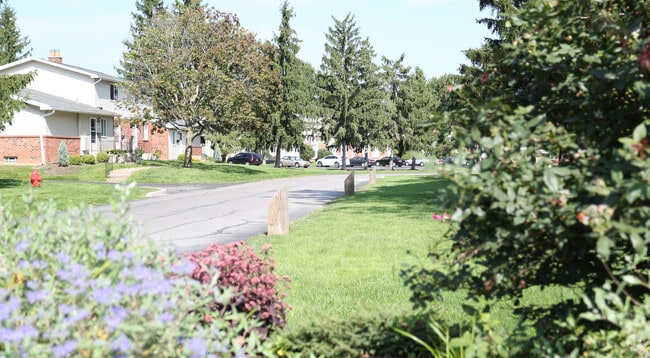 Ridgedale Manor