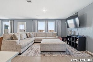 Photo - 1823 Musk Rose