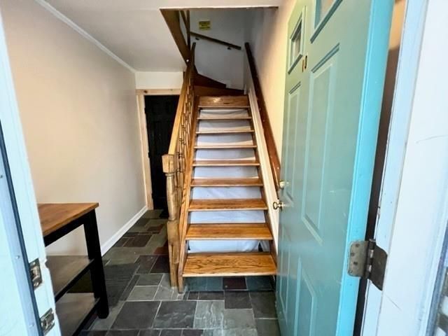 Photo - 10 Hammond St