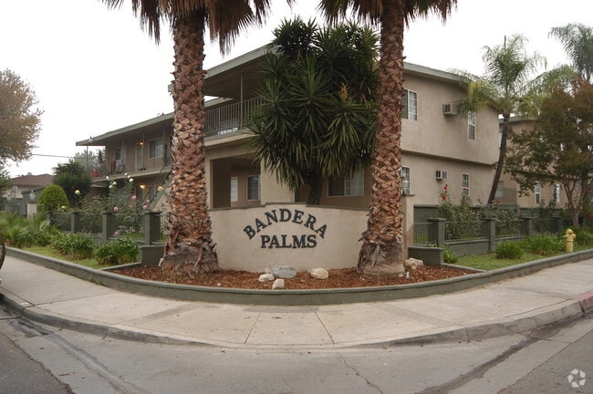 Photo - Bandera Palms