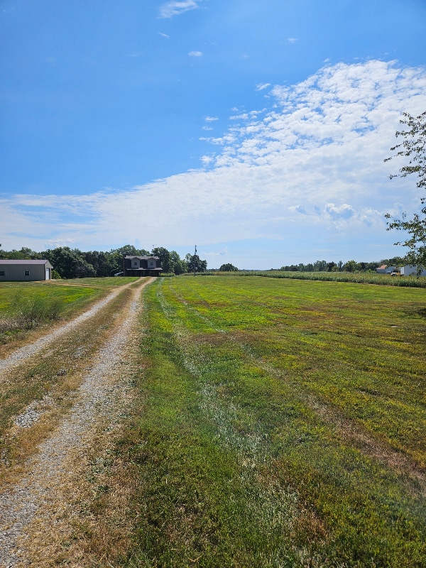Photo - 2020 Rhodelia Rd