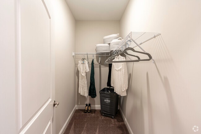 21-110: 2BR 2BA Primary Bedroom Walk-In Closet