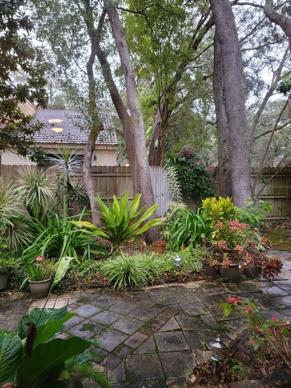 Photo - 1154 W Winged Foot Cir