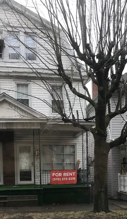 Half double on main street of Kulpmont. New Main Kitchen 2nd kitchen in basement. Yard - 1355 Chestnut St House