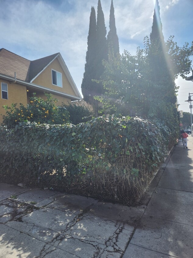 Private enclosed yard - 310 S Soto St (Los Angeles, CA)