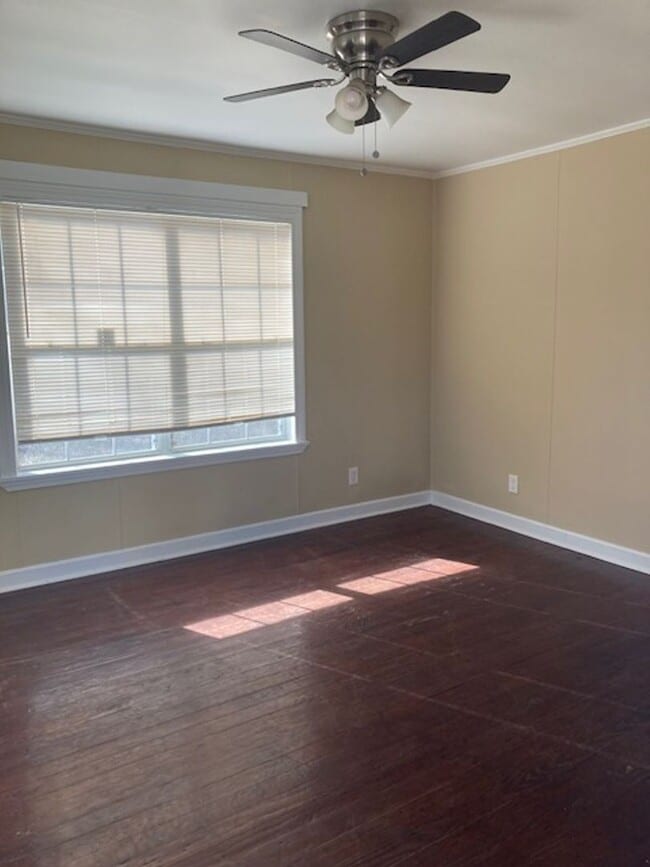 335 Rodenberg Ave
