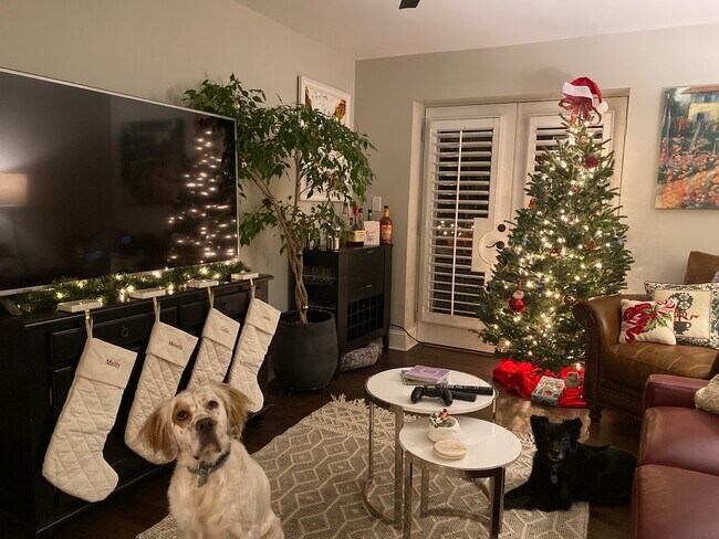 Photo - 227 N Dotger Ave Unit E 14