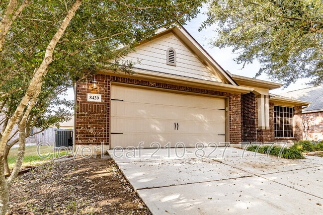 Photo - 8439 Painted Wagon