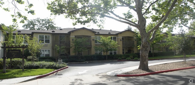 Sycamore Place