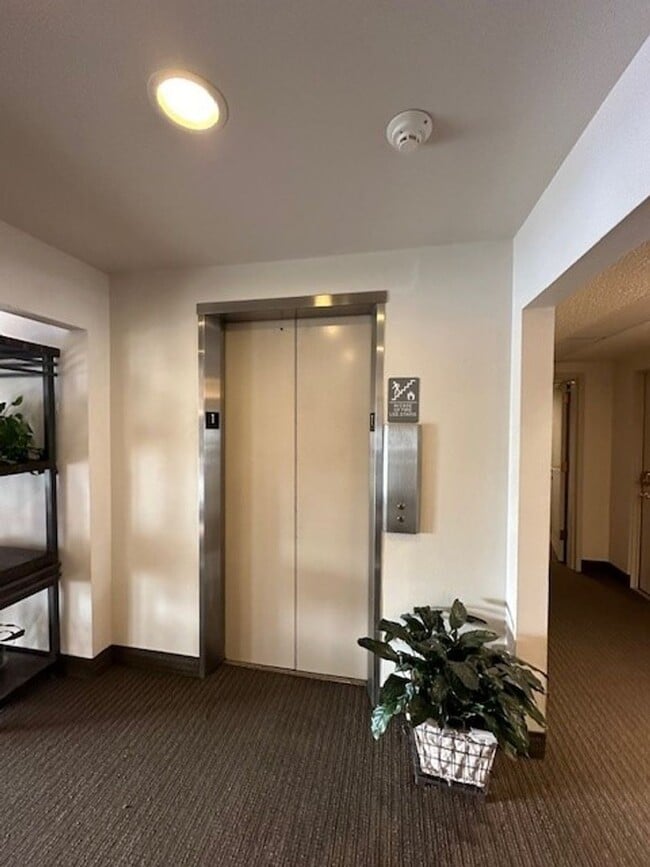 Building Photo - 221 E 7th Ave Unit 208 Rental
