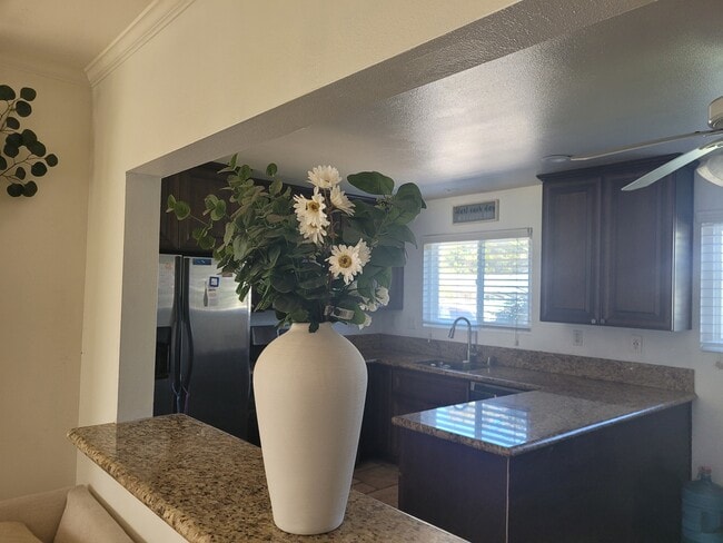 Photo - 639 Calle Tulipan