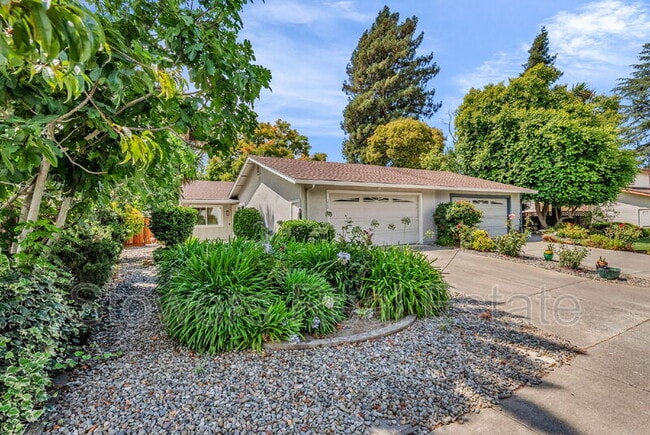 Building Photo - 216 Joaquin Dr Rental