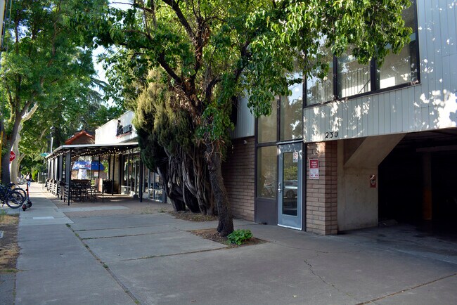 Campus Manor