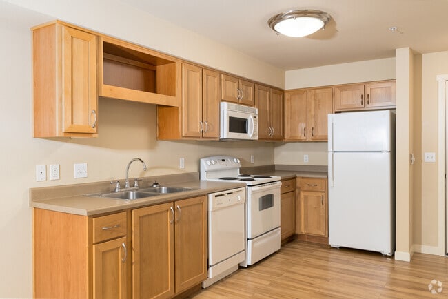 1BR, 1BA - 512SF - Kitchen