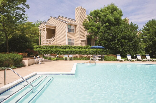 Swimming pool and sun deck - Springwoods at Lake Ridge
