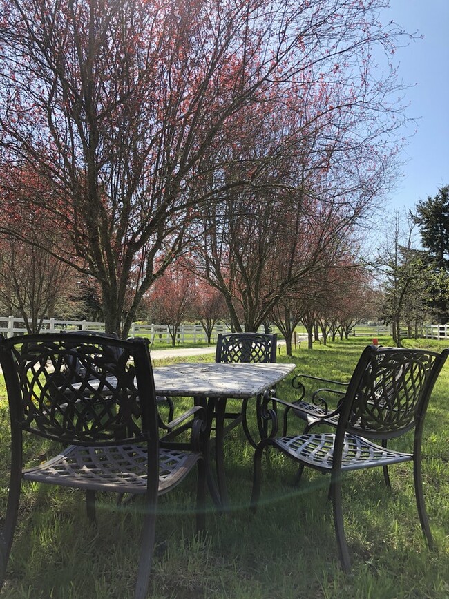 Outdoor common Areas - 6236 Cate Farm Ct SE Unit Studio B