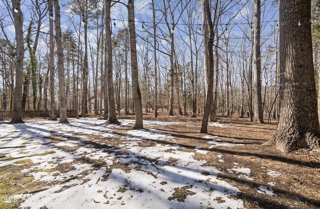Photo - 310 Loblolly Dr