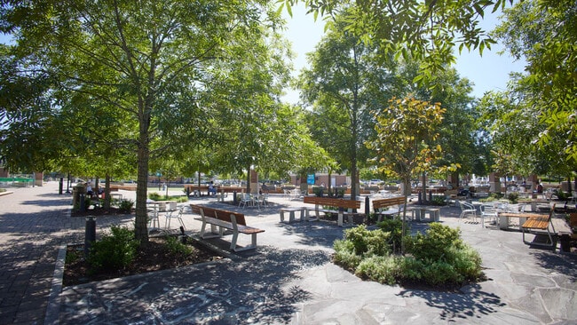 City Green Park for Outdoor Activities