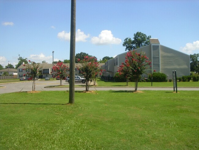South Bay